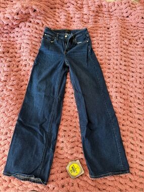 Quince Bella Stretch Wide Leg Jeans in Midnight Blue | Size 26/30